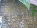 image of grave number 444493